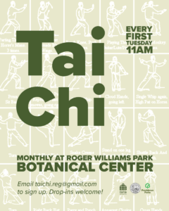 Sun Style Tai Chi for Beginners