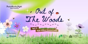 PechaKucha Night PVD #199 – Out of the Woods