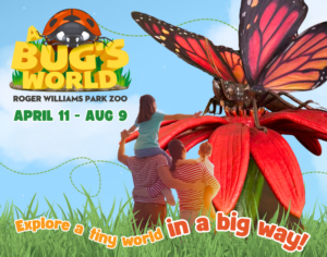 A Bug’s World at Roger Williams Park Zoo