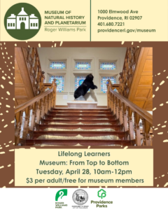 Lifelong Learners: Museum: Top to Bottom