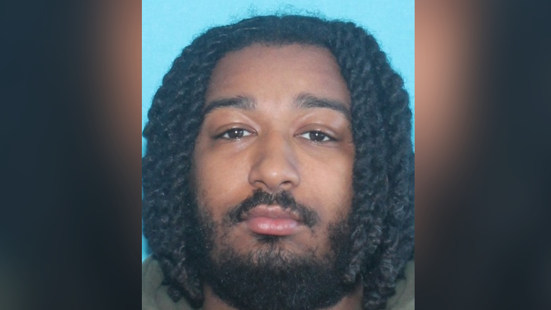 A young man with curly hair and a beard looks directly at the camera.