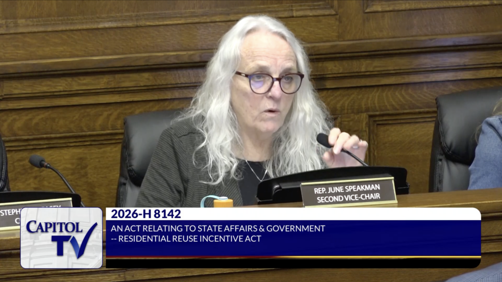 Representative June Speakman, Second Vice-Chair, speaks during a legislative session. Other members are seated nearby.