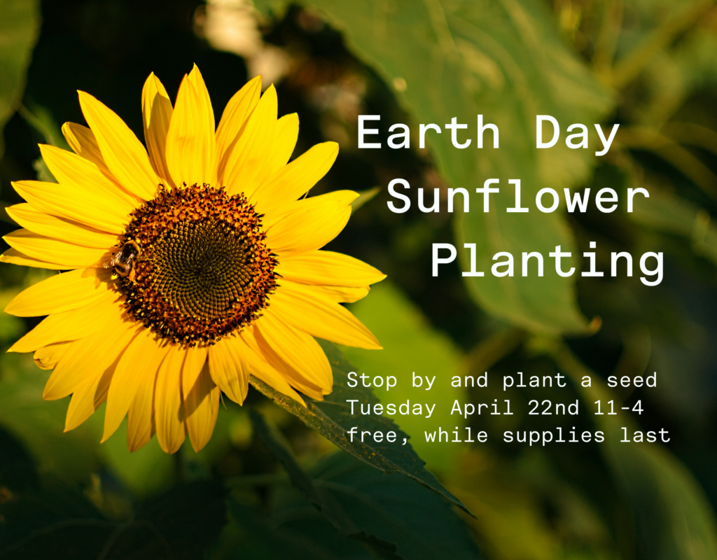 Bright sunflower with a bee, promoting Earth Day sunflower planting event on April 22nd.