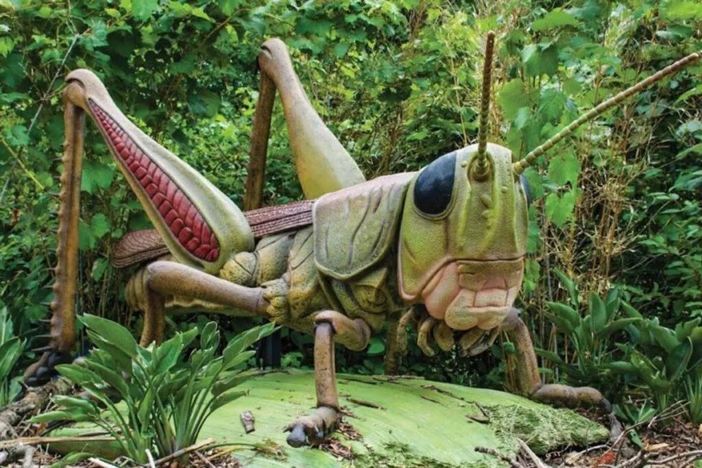 It's a Bug's World at Roger Williams Park Zoo | Events In Providence, RI