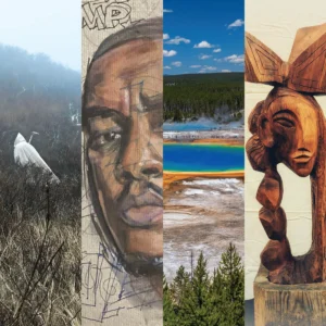 June Gallery Openings!