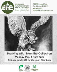 Drawing Wild – From the Collection