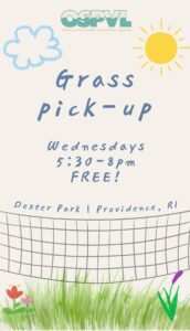 Grass Pick-Up Volleyball