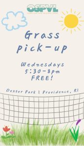 Grass Pick-Up Volleyball