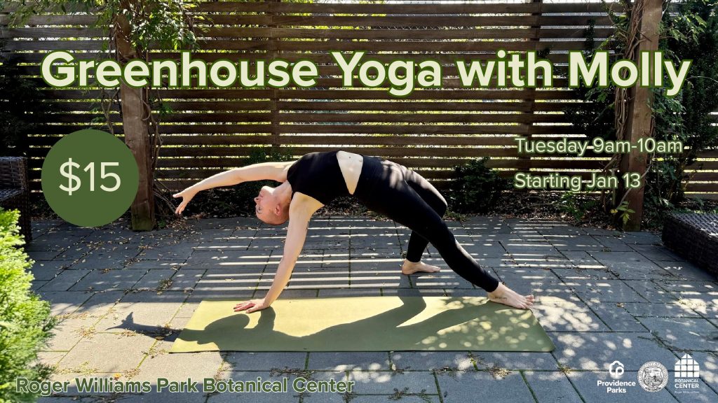 A person performs yoga on a mat in a greenhouse setting, surrounded by greenery and wooden slats.