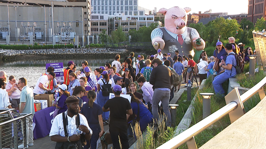Crowd gathers by a river, with a large inflatable pig in a suit and signs advocating for healthcare support.
