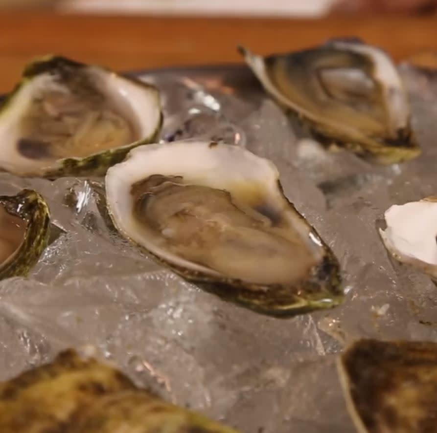 Fresh oysters on ice, showcasing their open shells and glistening meat.