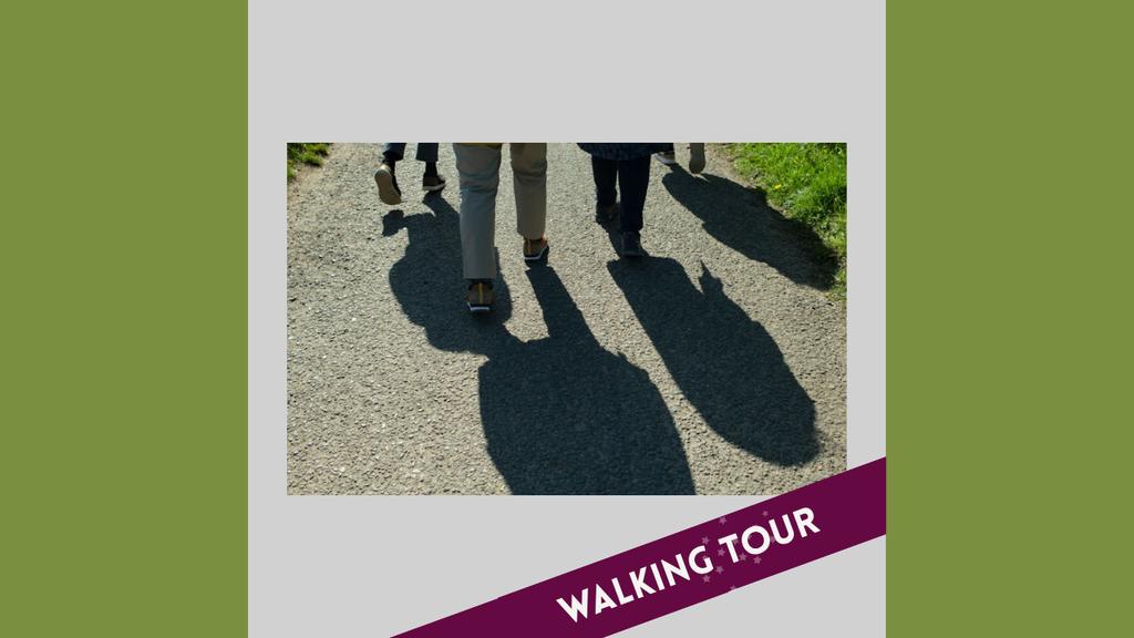 Group of people walking on a path, casting long shadows in the sunlight.