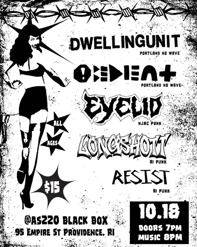 Promotional flyer for a punk music event featuring multiple bands, date, venue, and ticket price details.