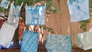 Explorations in the garden: Natural Dyeing and other garden crafts