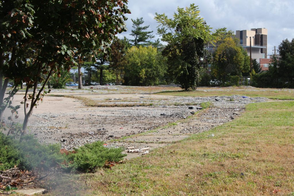 Overgrown lot with gravel, scattered debris, and trees; a building is visible in the background.