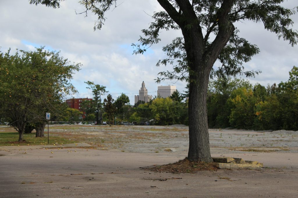 A large tree stands in an empty lot, with city buildings visible in the background under a cloudy sky.