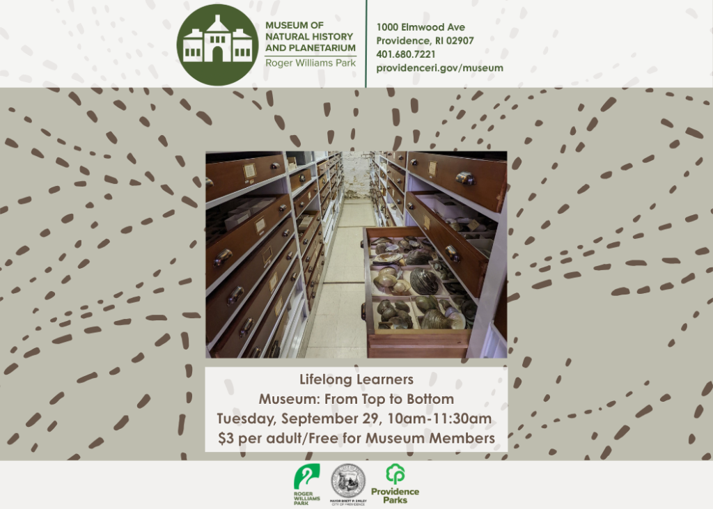 Interior of a museum storage area with wooden drawers containing various natural specimens. Event details displayed.
