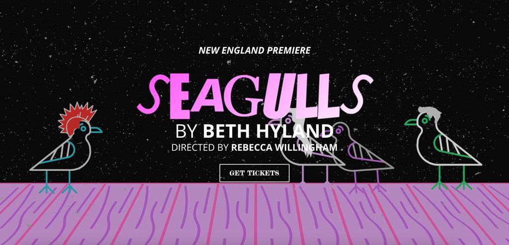 Colorful seagulls with unique hairstyles stand on a purple surface, promoting the play "Seagulls" by Beth Hyland.